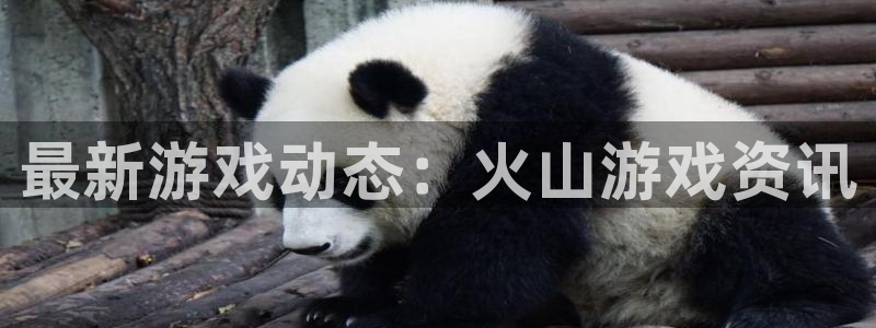 多彩娱乐网页登录入口下载：最新游戏动态：火山游戏资讯
