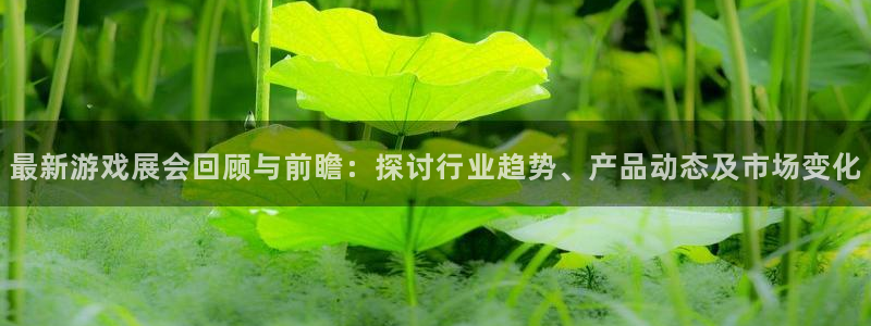多彩娱乐什么意思：最新游戏展会回顾与前瞻：探讨行业趋势、产品