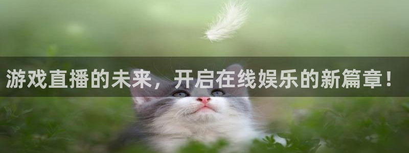 多彩娱乐平台官网注册：游戏直播的未来，开启在线娱乐的新篇章！