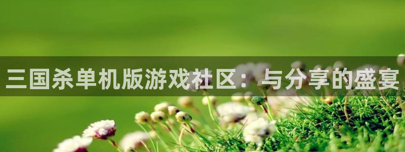 多彩娱乐注册账号：三国杀单机版游戏社区：与分享的盛宴