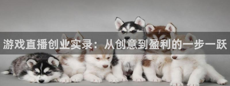 多彩娱乐网页登录入口下载：游戏直播创业实录：从创意到盈利的一