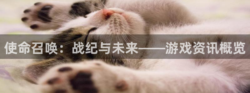 多彩联盟查询