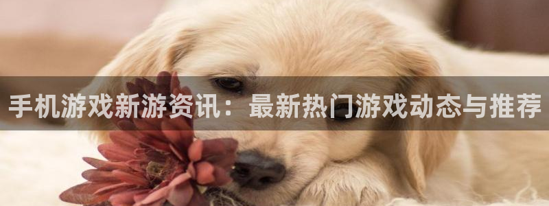 多彩联盟平台官网登录注册不了：手机游戏新游资讯：最新热门游戏