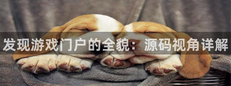 多彩联盟担保平台是真的吗：发现游戏门户的全貌：源码视角详解