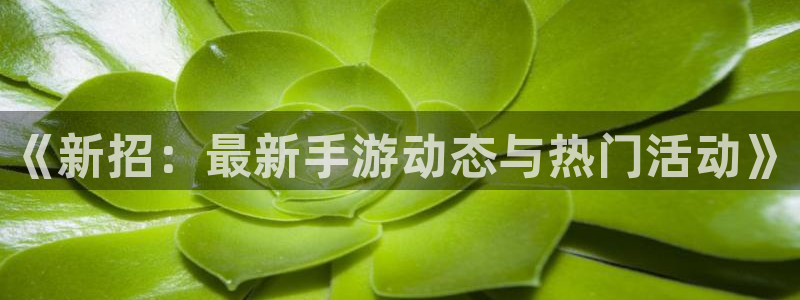 多彩联盟登录入口手机版：《新招：最新手游动态与热门活动》